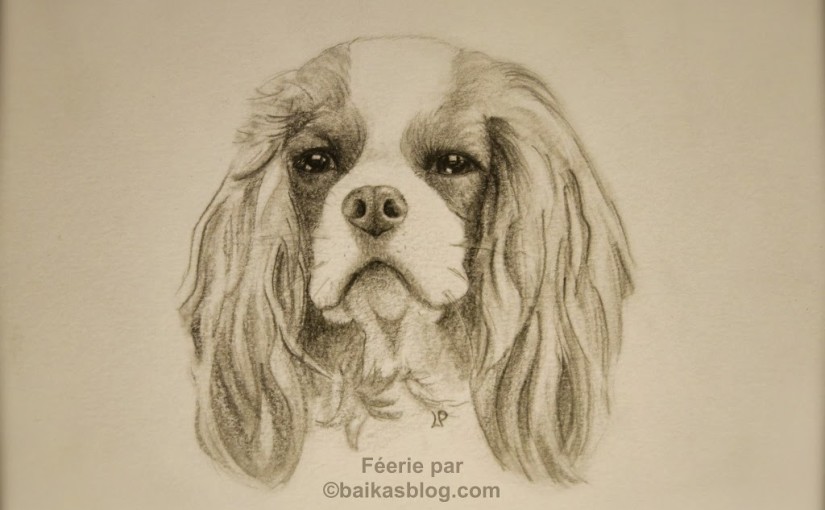 Dessin De Féerie Cavalier King Charles Blenheim Baikasblog